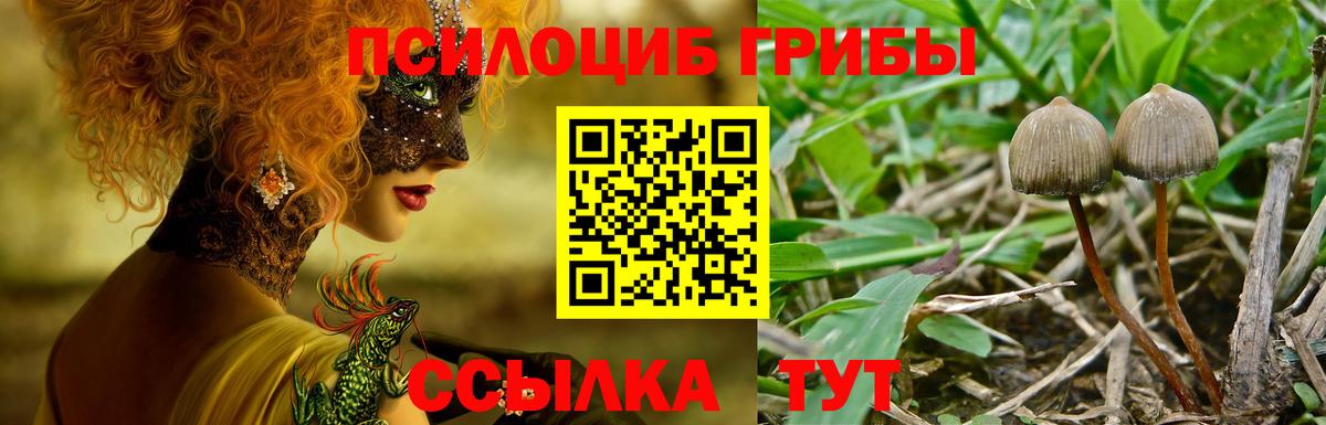 Хабаровск  что такое   Псилоцибиновые грибы Psilocybe  Вход с VPN  Псилоцибиновые грибы Psilocybine cubensis 